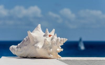 Integral Yoga Friends and Family Interfaith Virtual Memorial Service:  Remembering and Honoring Our Loved Ones