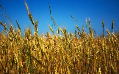 An interview with Chuck Fishman