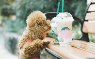 In The Throes of Asteya (Non-stealing)