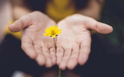 The Fruit – Brahmacharya (Non-excess)