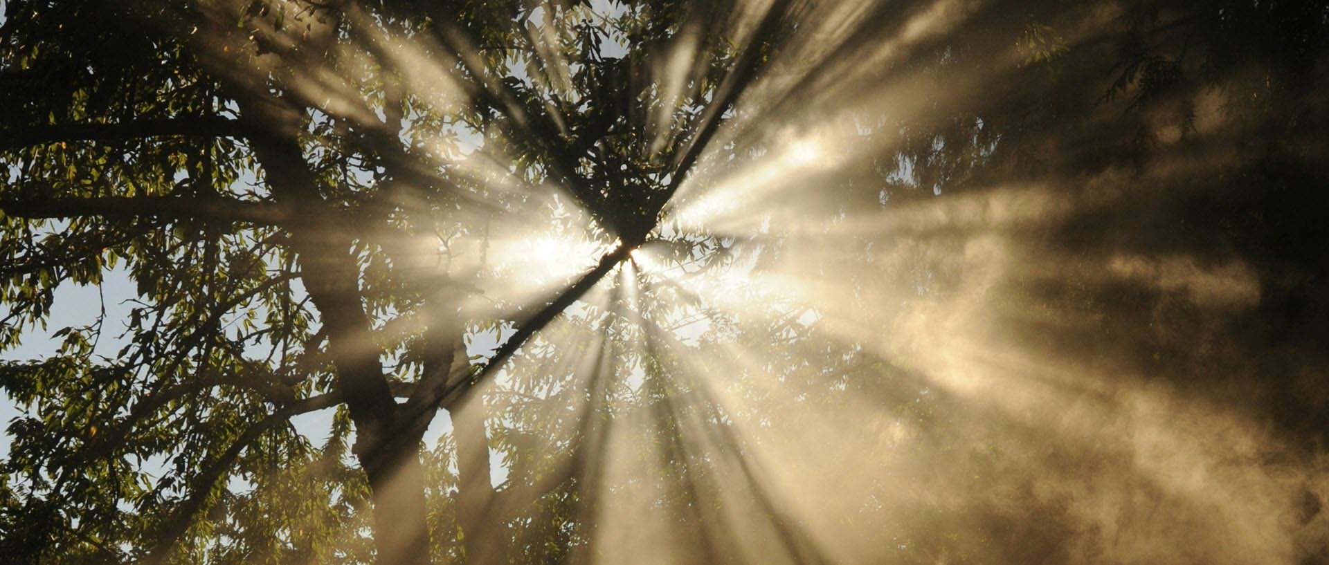 The Light of Saucha (Purification)